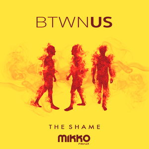 The Shame (Mikko Remix)