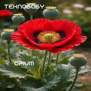 Opium