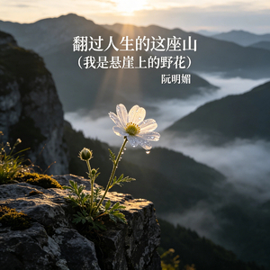 翻过人生的这座山（我是悬崖上的野花）