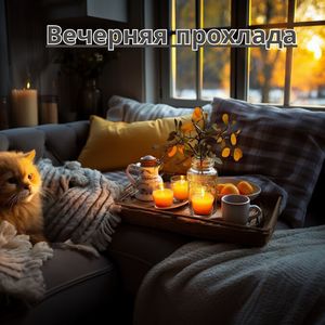Звездная ночь
