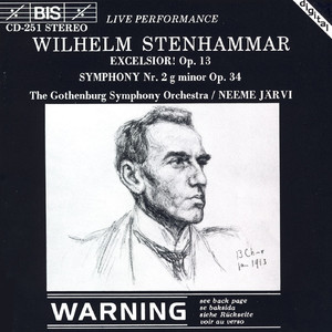 Symphony No. 2 in G Minor, Op. 34: I. Allegro energico