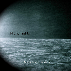 Night Flight 3