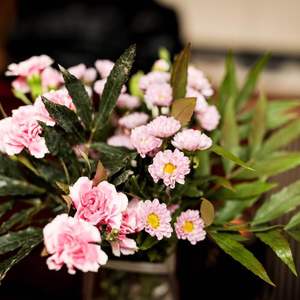 踏雪寻梅——林华老师作品