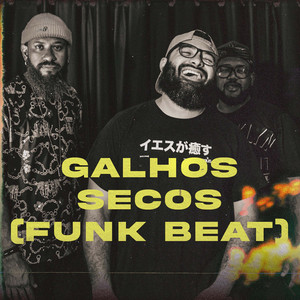 Galhos Secos