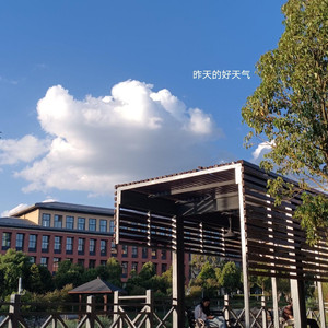 【江医生他怀了死对头的崽】主题曲《THE LANCET》—陈亦洺