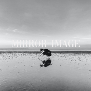 Mirror Image