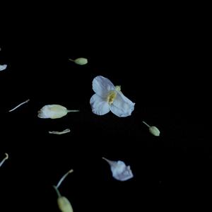 SeanT肖恩恩-MOONLIGHT(REMIX)（J-Raaain remix）