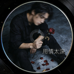 用情太深
