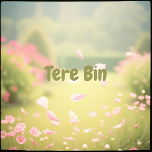 Tere Bin