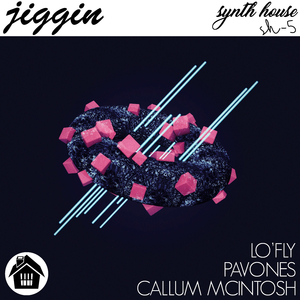 Jiggin (Original Mix)