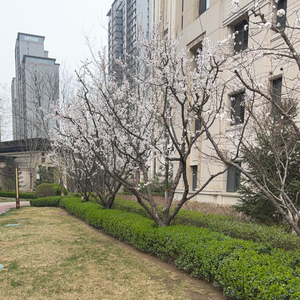 喜欢化妆的罪人（中德歌词）