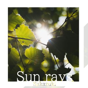 Sun rays