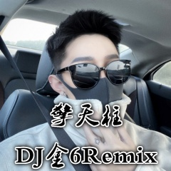 征服你耳 (DJ版)
