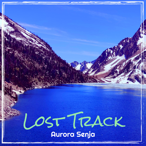 Lost Track