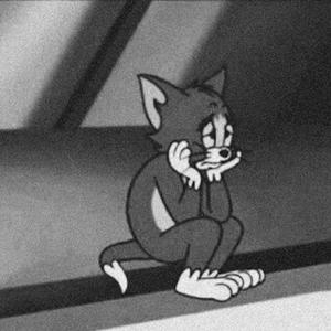 盐 酸 帕 罗 西 汀