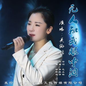 无人知我眼中泪