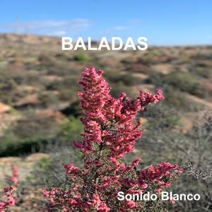 Viaje a la India (feat. Guitarra eléctrica: Paco Martín)