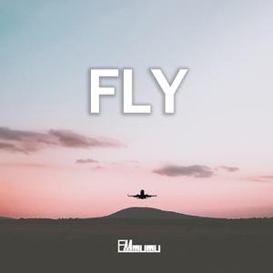 Fly