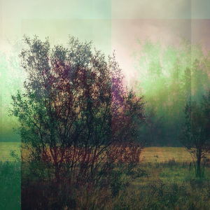 Extrinsic