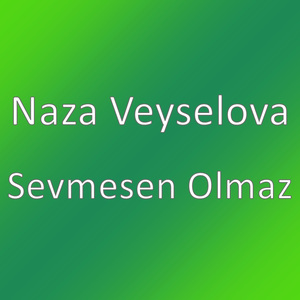 Sevmesen Olmaz