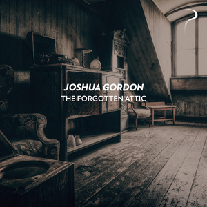 The Forgotten Attic