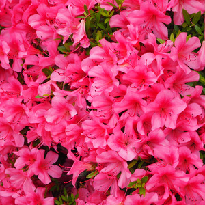 ポケットの中には