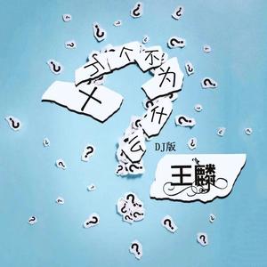 十万个不为什么（DJ版）