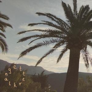 Wonderful and Bright