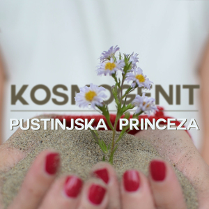 Pustinjska princeza