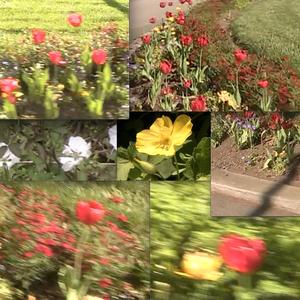 Everyone but You (feat. Claire & Sherrill 3)