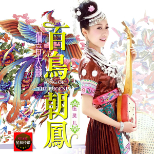 百鸟朝凤伴奏（高品质）