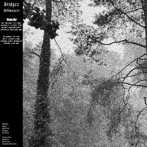 bridges