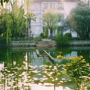 宁夏（Cover 梁静茹）