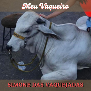 Como Dois Peixes