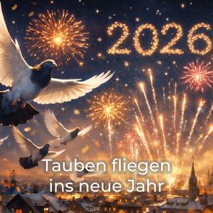 Tauben feiern durch bis Morgen