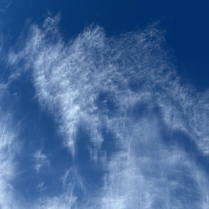 沈める寺 (Live at Ina, 2014)