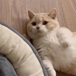 把回忆拼好给你 (Live)