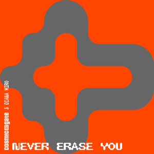 Never Erase You
