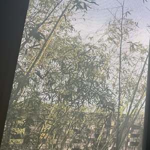 挣脱束缚路（t1 Remix）