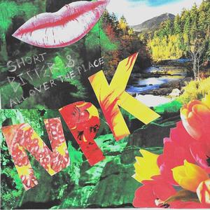 Smashing the State (feat. Pink Nois)