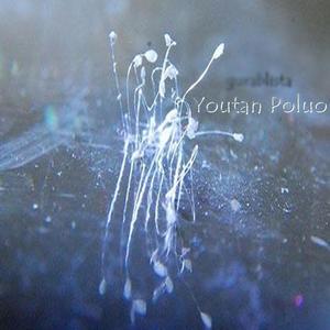 Youtan Poluo