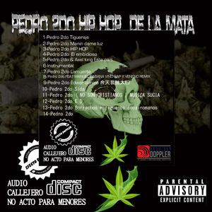 Pedro 2do Borrachos mariguanos cocainomanos