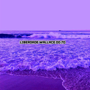 LIBERDADE WALLACE DO 70