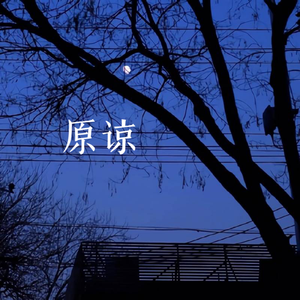 原谅（释怀版）