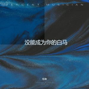 没能成为你的白马