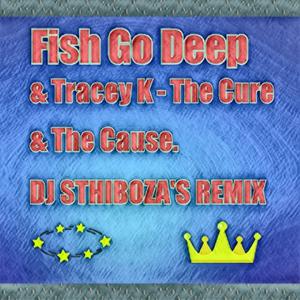The cure and the cause (Fish go deep & Tracey-k by DJ Sthiboza Remix)