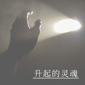 崛起的灵魂