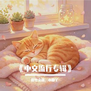 《我不必完美》