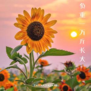 负重一万斤长大_