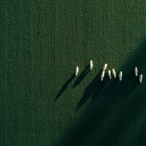 Unraveling Silence (feat. Liz Alabon)